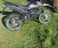 Продам Shineray 250