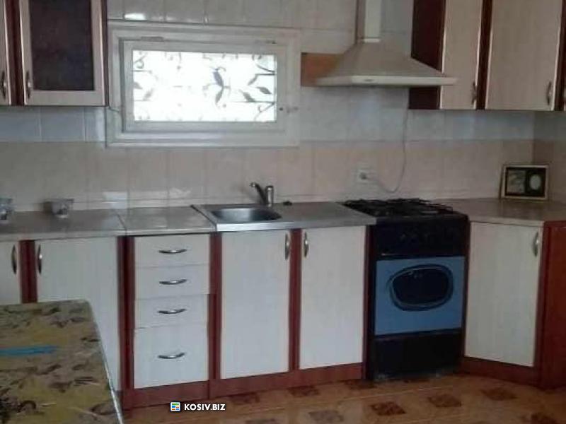 Продається два житлові будинки із ділянкою 53 соток в селі Кобаки