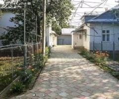 Продається два житлові будинки із ділянкою 53 соток в селі Кобаки