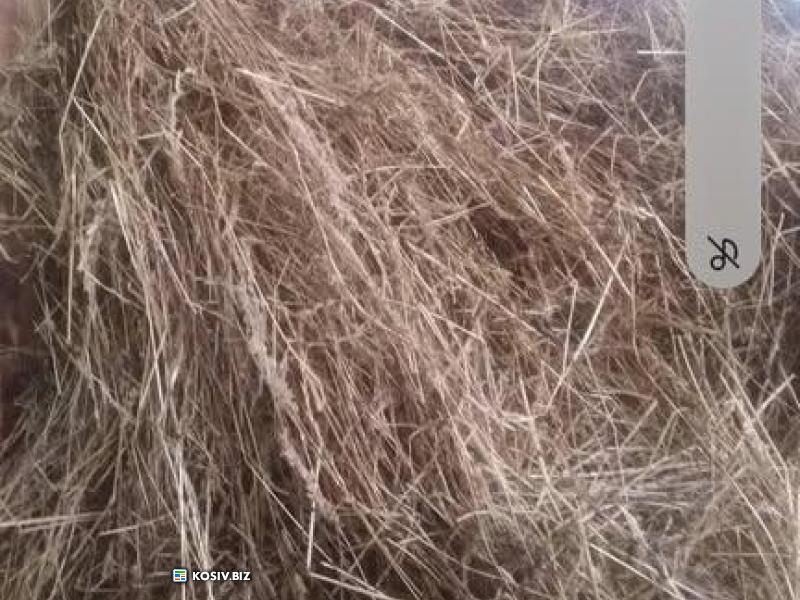 Сіно, отава