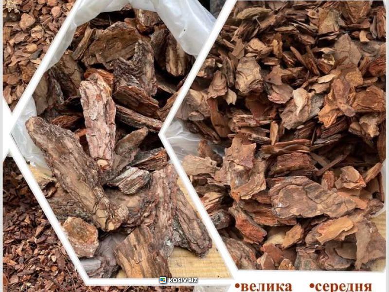 Кора соснова