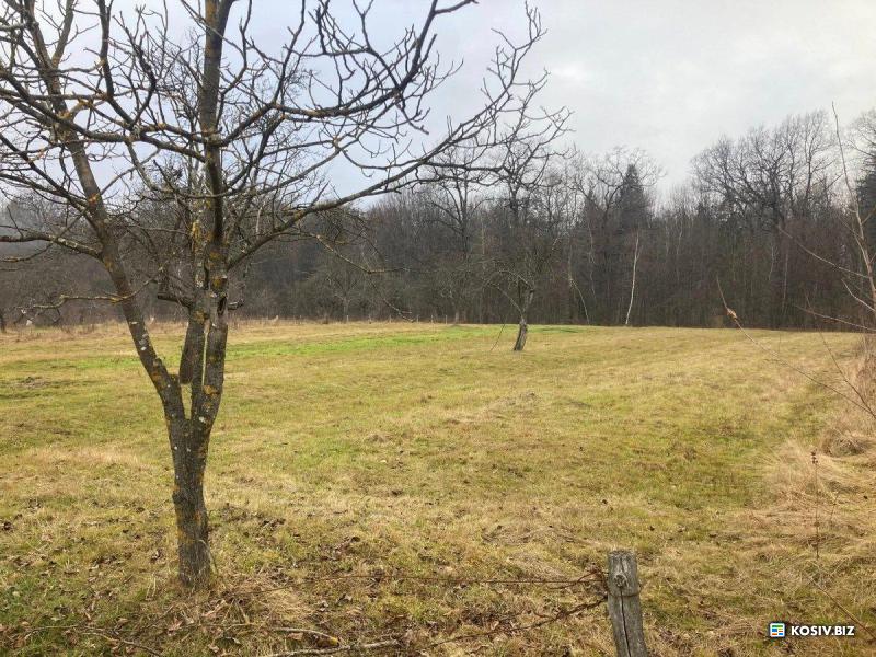 Ділянка на Черганівці