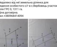 Ділянки в с. Вербовець